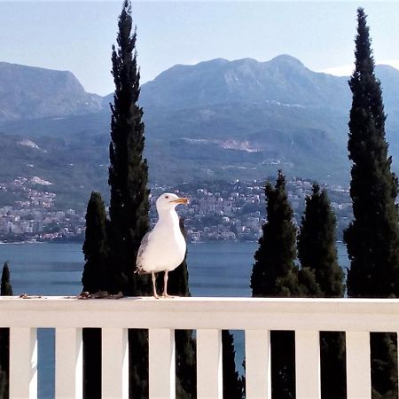 Villa Boka Sunrise Apartments تْشيرسيك نوفي المظهر الخارجي الصورة