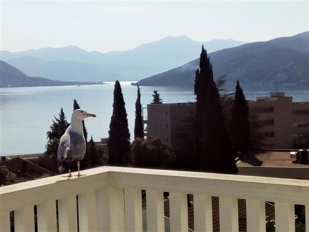 Villa Boka Sunrise Apartments تْشيرسيك نوفي المظهر الخارجي الصورة