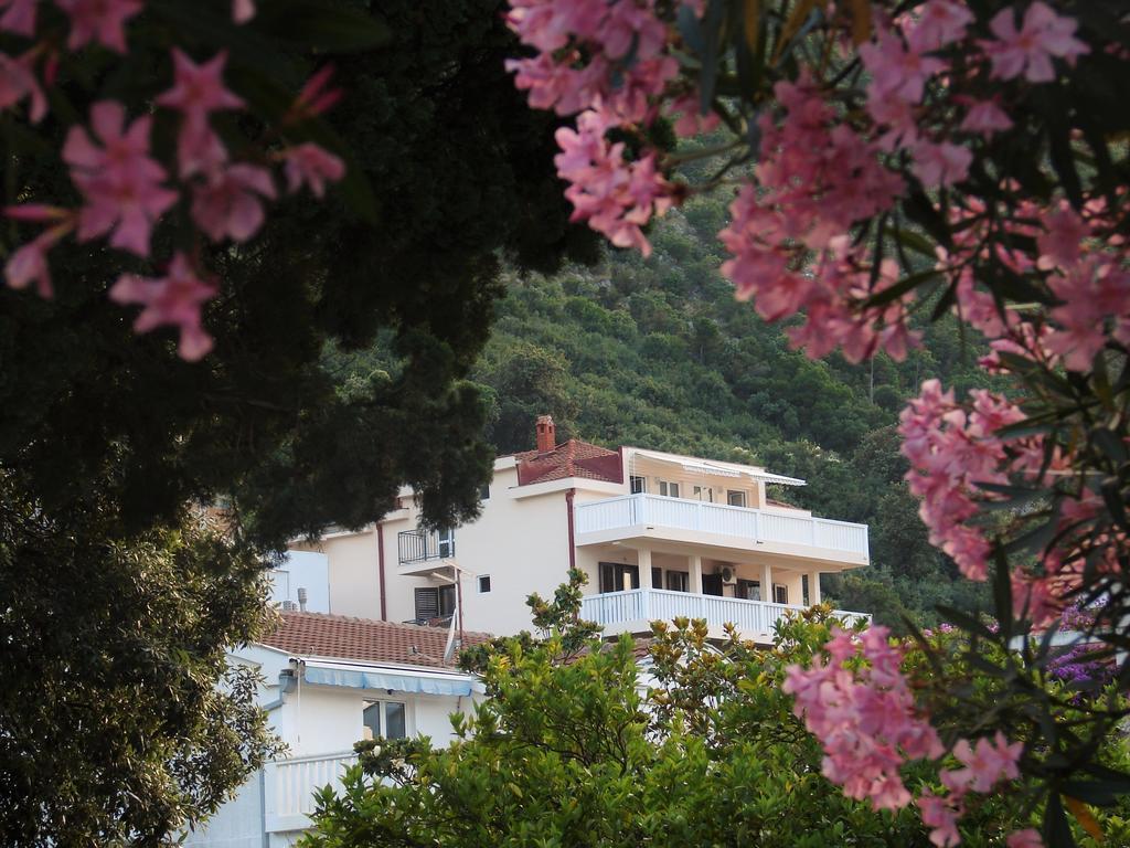 Villa Boka Sunrise Apartments تْشيرسيك نوفي المظهر الخارجي الصورة